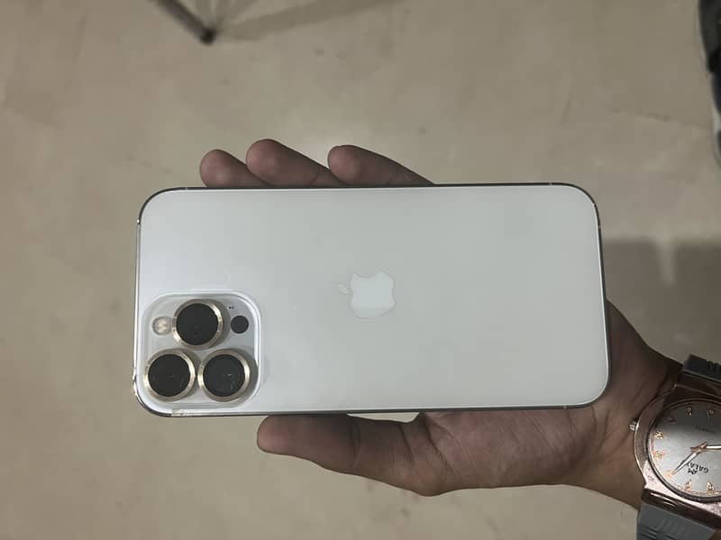 Apple iPhone 13 Pro Max 1