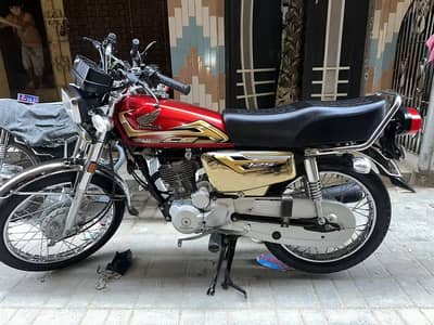 honda 125  gold edition 25/26 model 03208137065