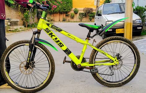 SKYS Mountain Bike / Bicycle - Good Running Condition
