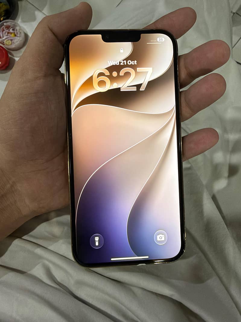 Apple iPhone 13 Pro Max 1