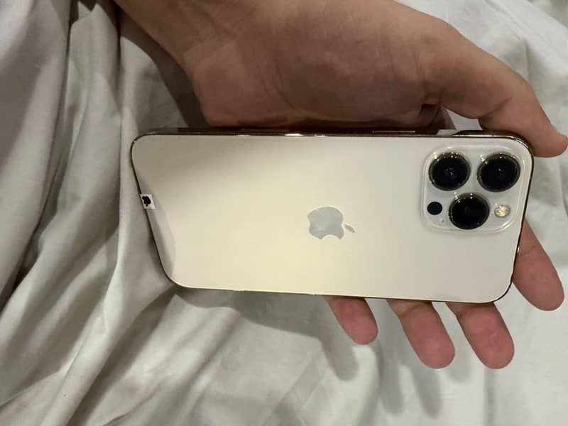 Apple iPhone 13 Pro Max 2