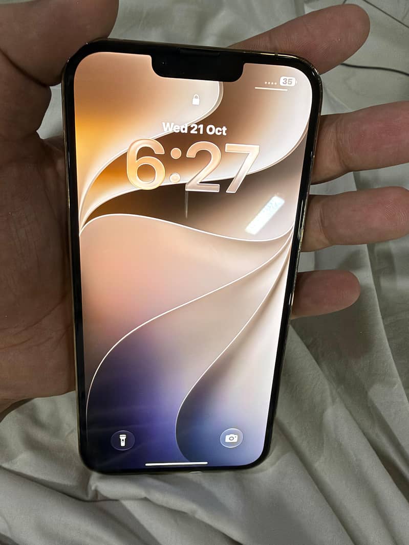 Apple iPhone 13 Pro Max 4