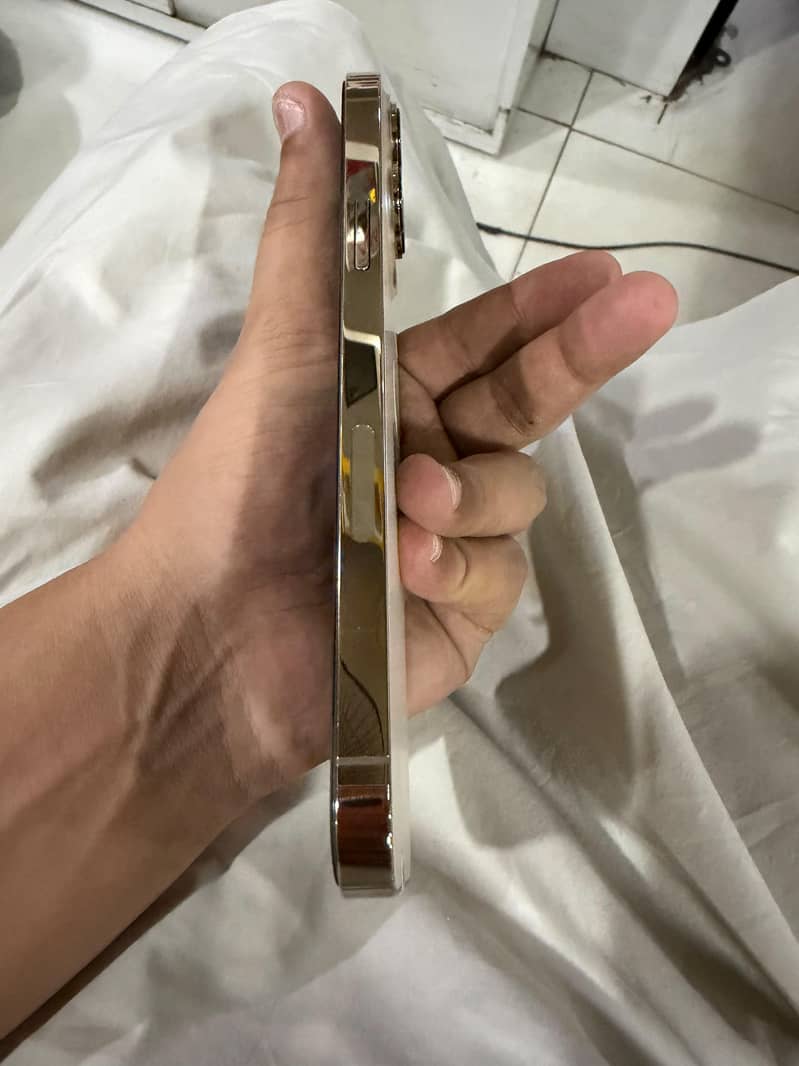 Apple iPhone 13 Pro Max 5