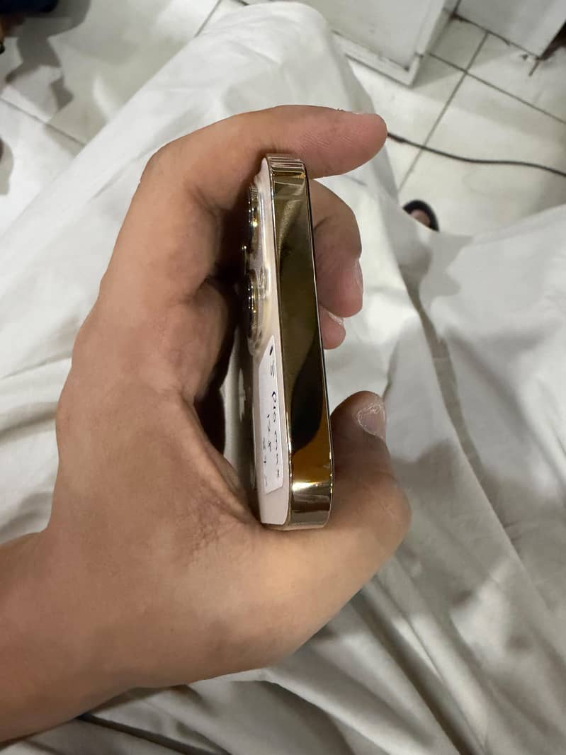 Apple iPhone 13 Pro Max 6