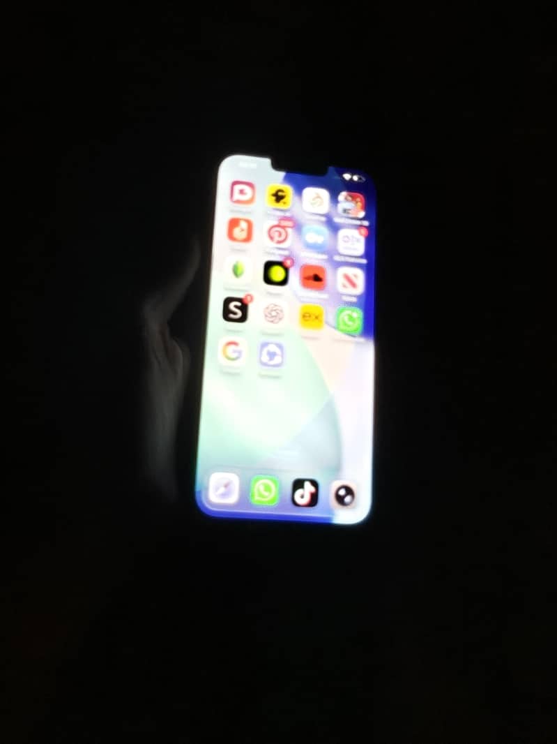 Apple iPhone 13 Pro Max 1