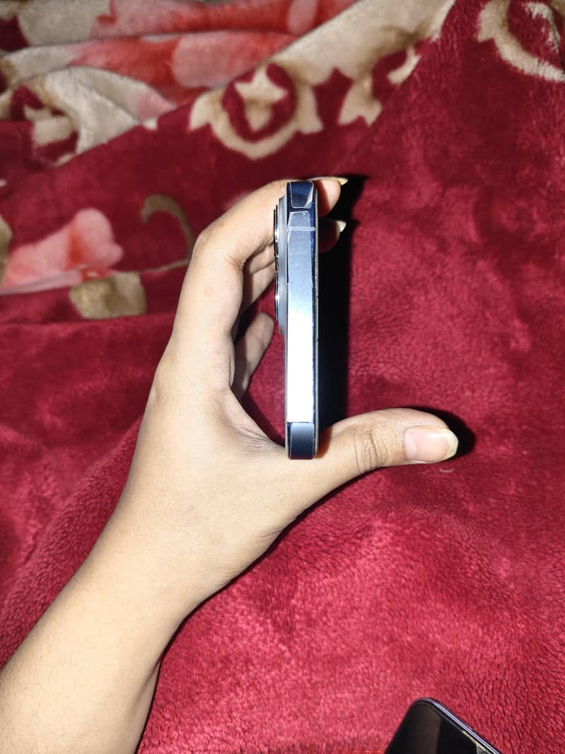 Apple iPhone 13 Pro Max 2
