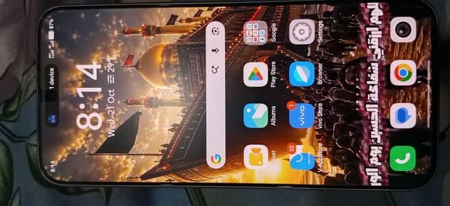 Vivo V70 FE 5G 12/256