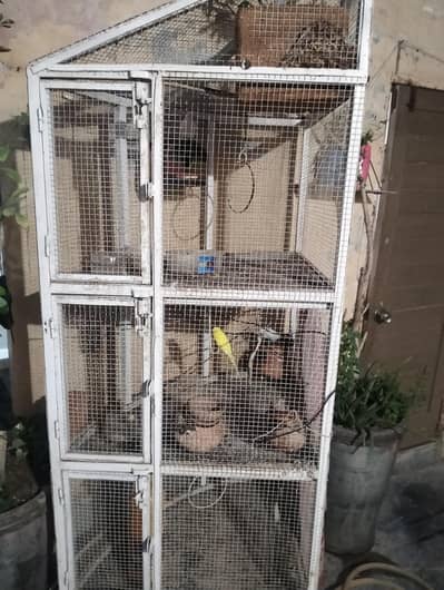 Iron Bird Cage Aviary with 10 Premium Parrots (Multi-Color & White)