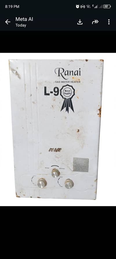 Ranai L-9 Instant Gas Geyser 8L  Working Condition