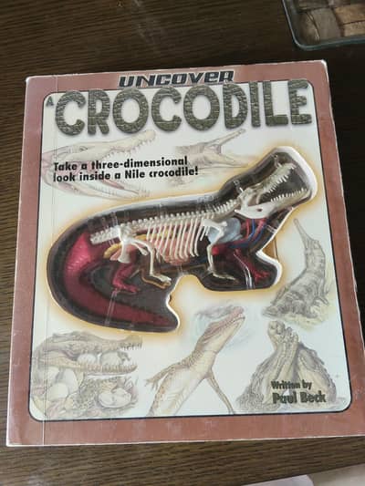 3D crocodile book
