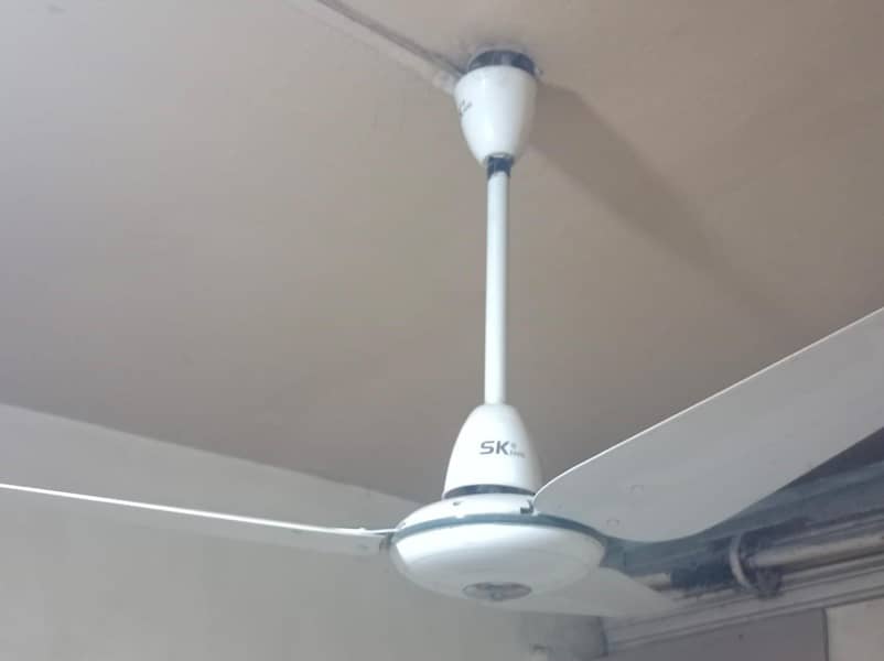 SK Fan 2