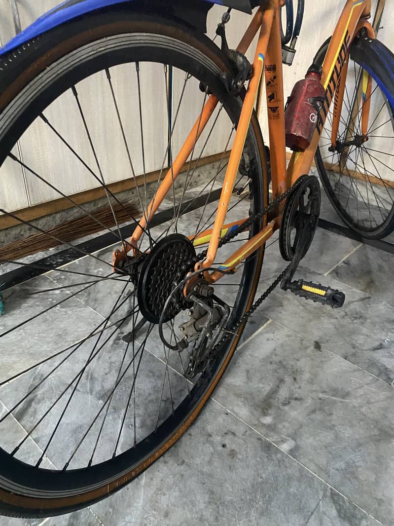 Racing by cycle 2