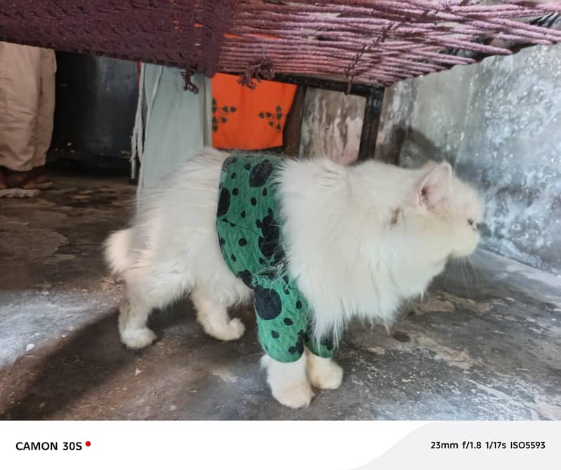 00000 8