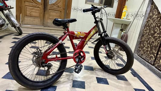 Deluxe bicycle