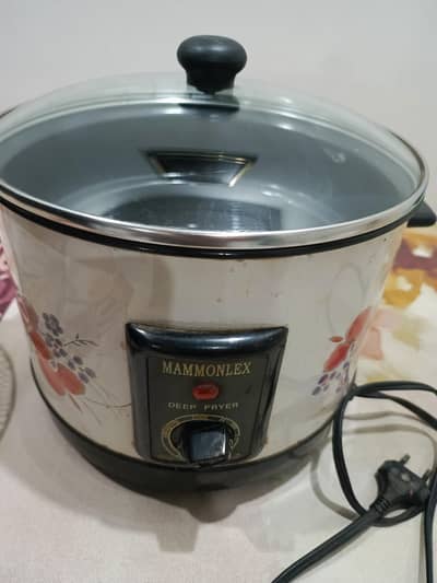 Deep Fryer for sale