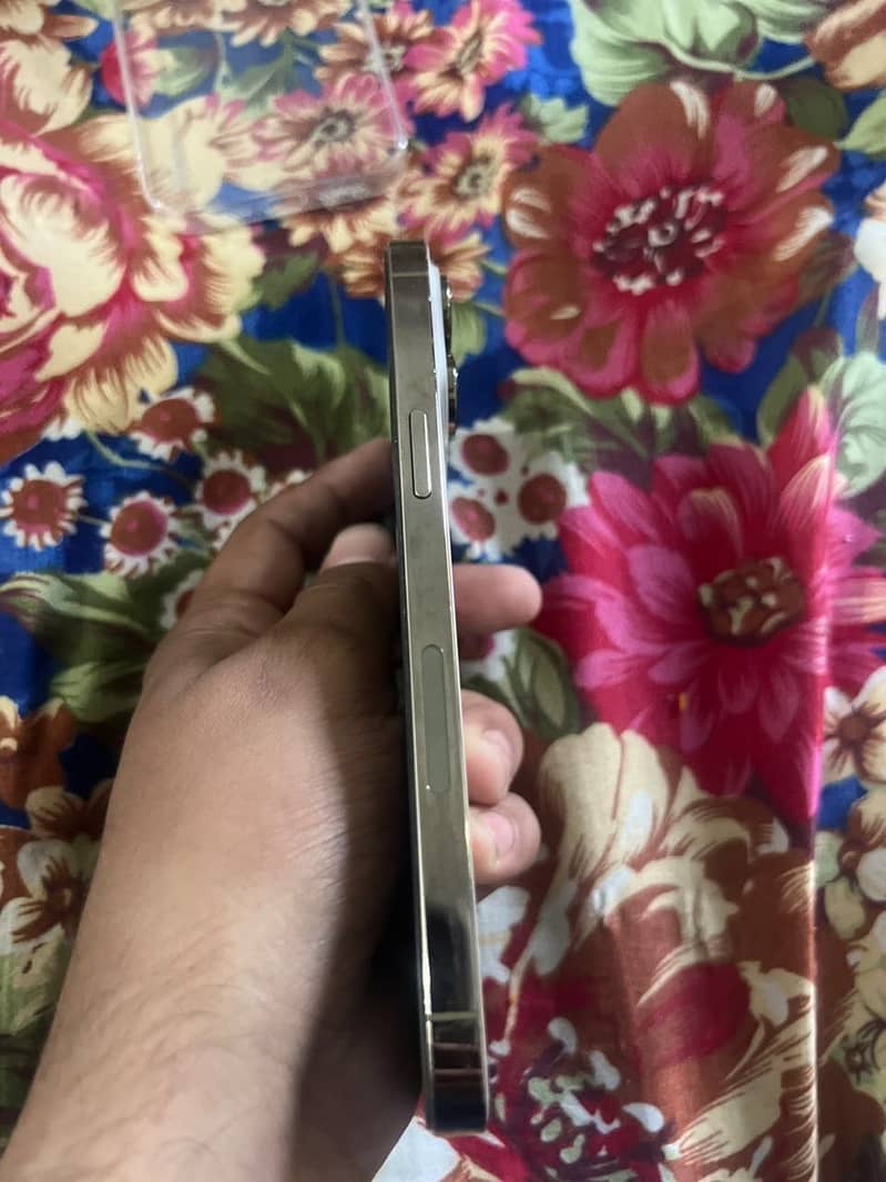 Apple iPhone 14 Pro Max 1