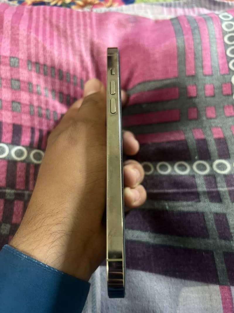 Apple iPhone 14 Pro Max 4