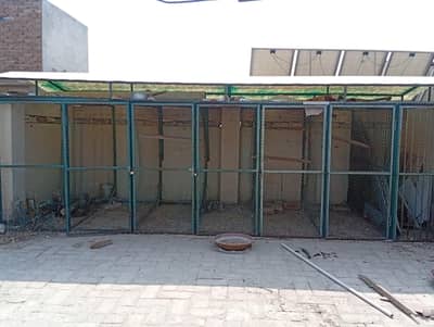 Parrot and Pigeon Cage/Enclosure