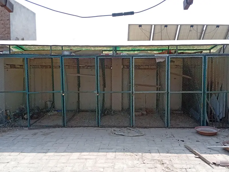 Parrot and Pigeon Cage/Enclosure — photo 2