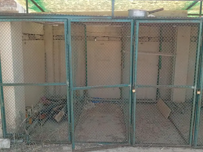 Parrot and Pigeon Cage/Enclosure — photo 3