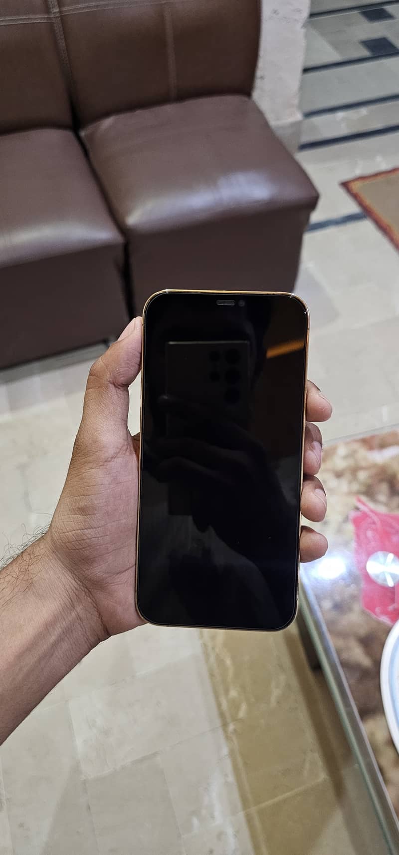 Apple iPhone 12 Pro Max 6