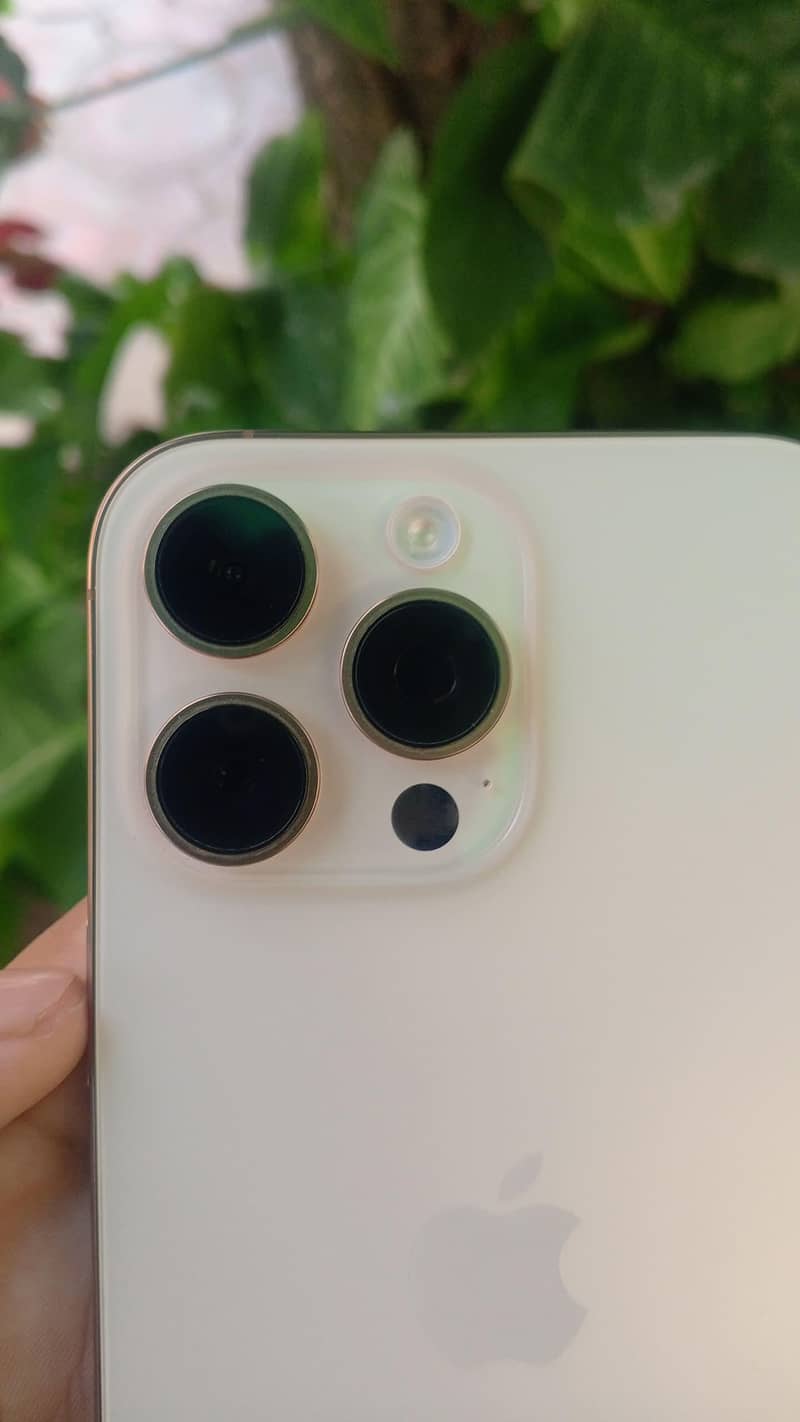 Apple iPhone 16 Pro Max 5