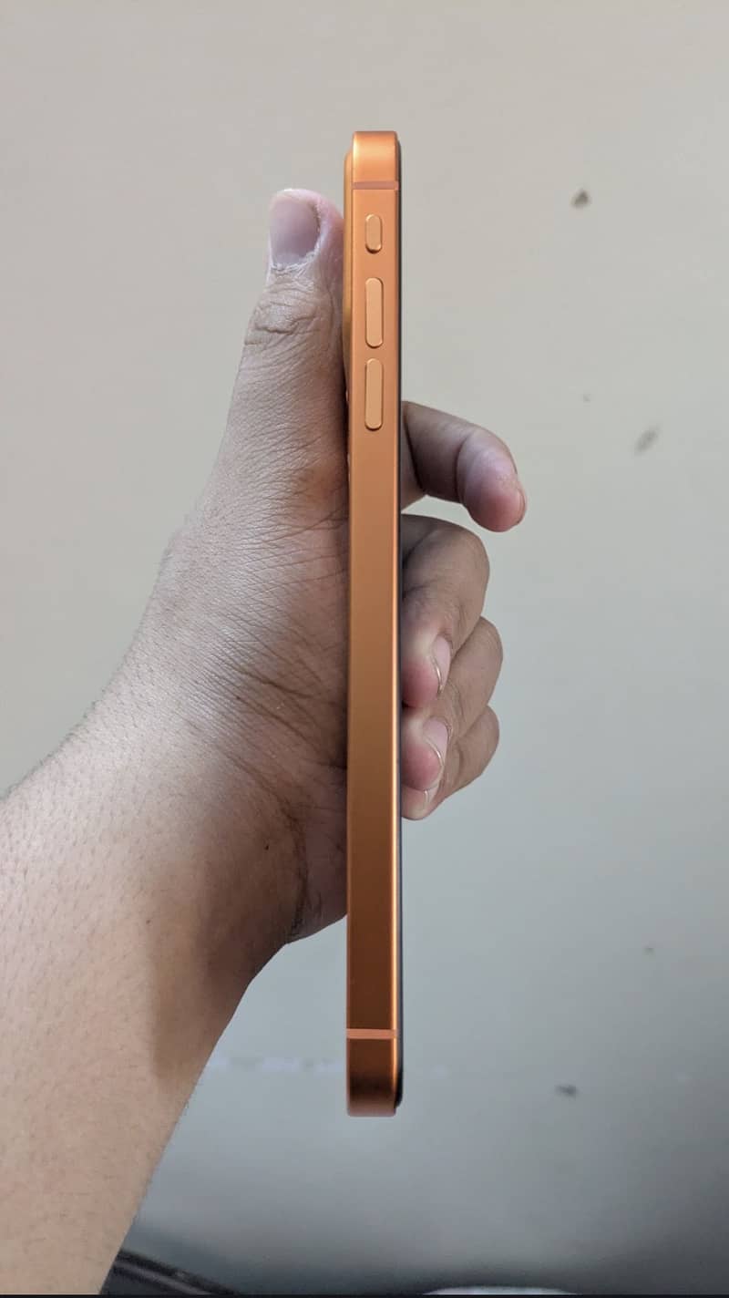 Apple iPhone XS Max 4