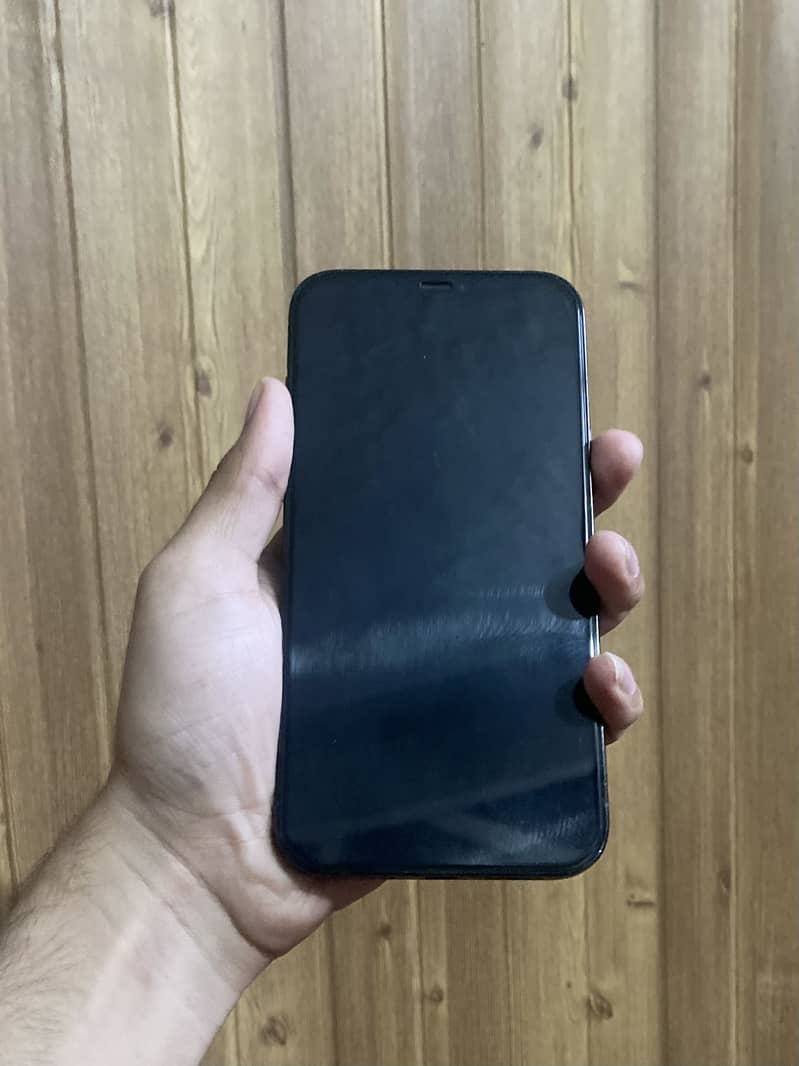 Apple iPhone 12 Pro Max 1
