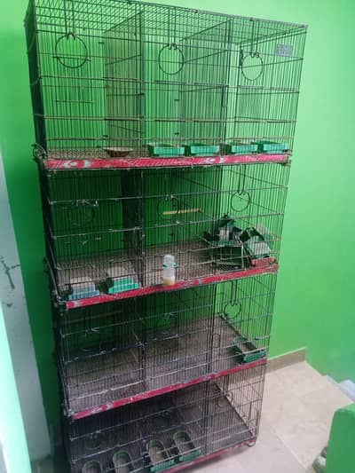 Zarar 12 portion Cage