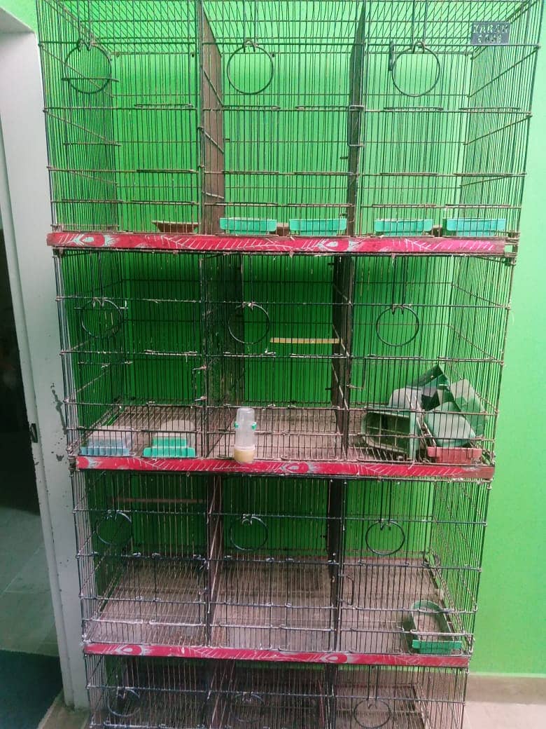 Zarar 12 portion Cage 1