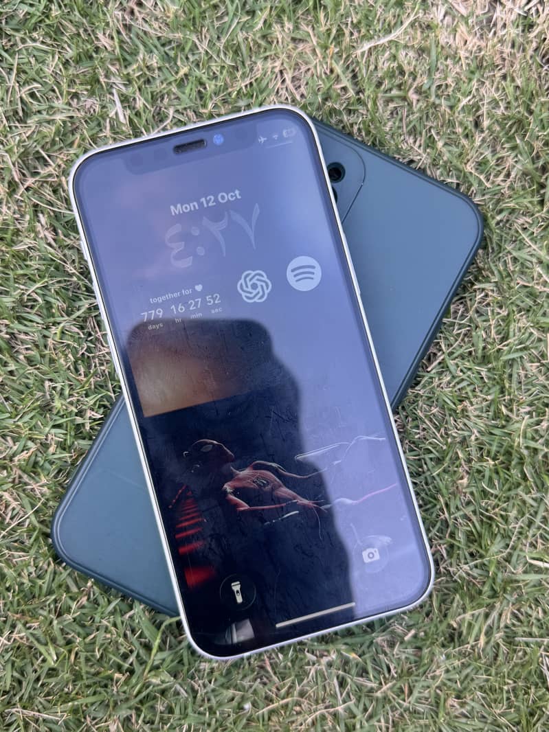 Apple iPhone 12 mini 1