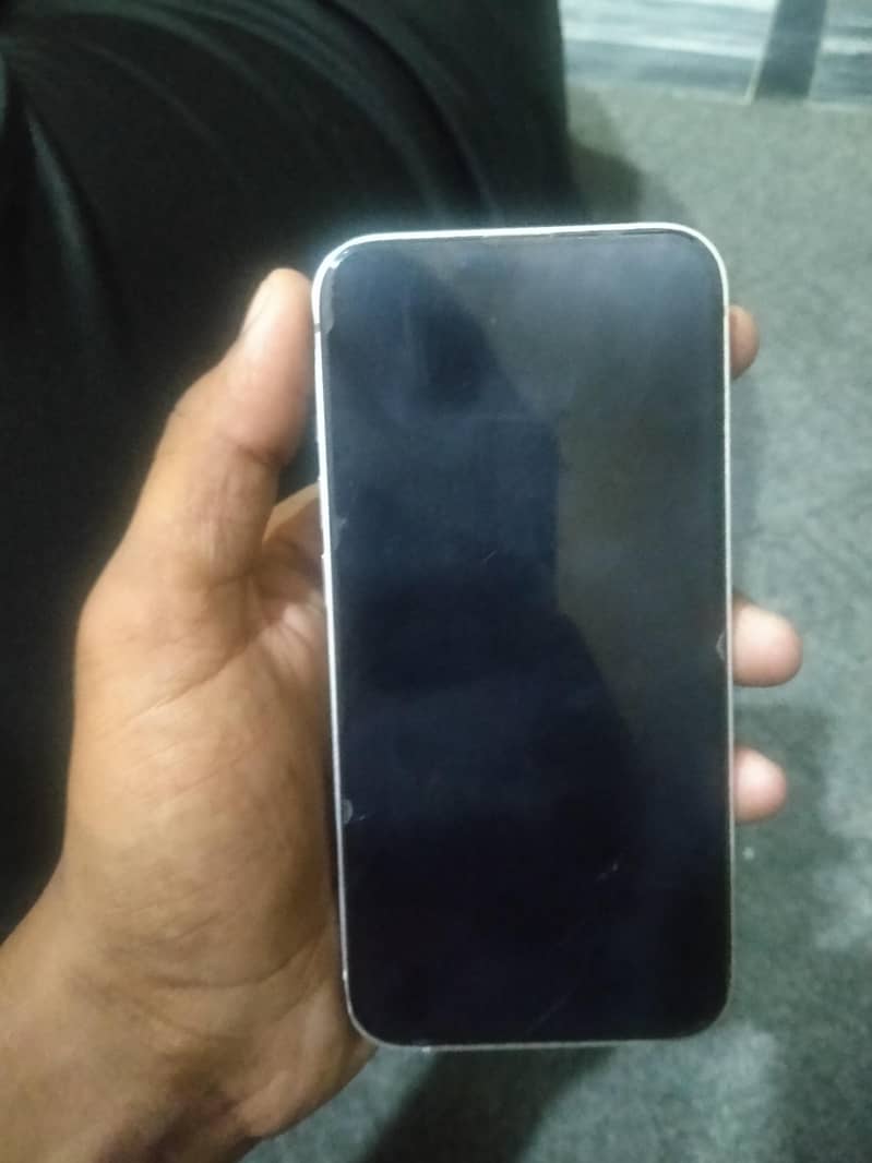 Apple iPhone 13 0