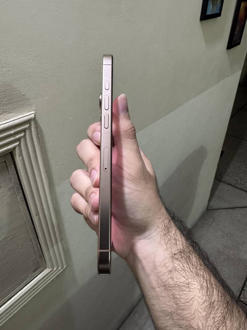 Apple iPhone 16 Pro Max 1