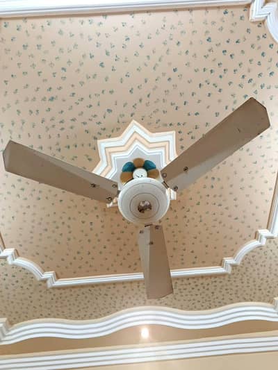 URGENT: Ceiling Fan Available
