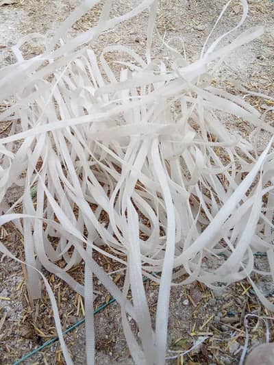 plastic taila