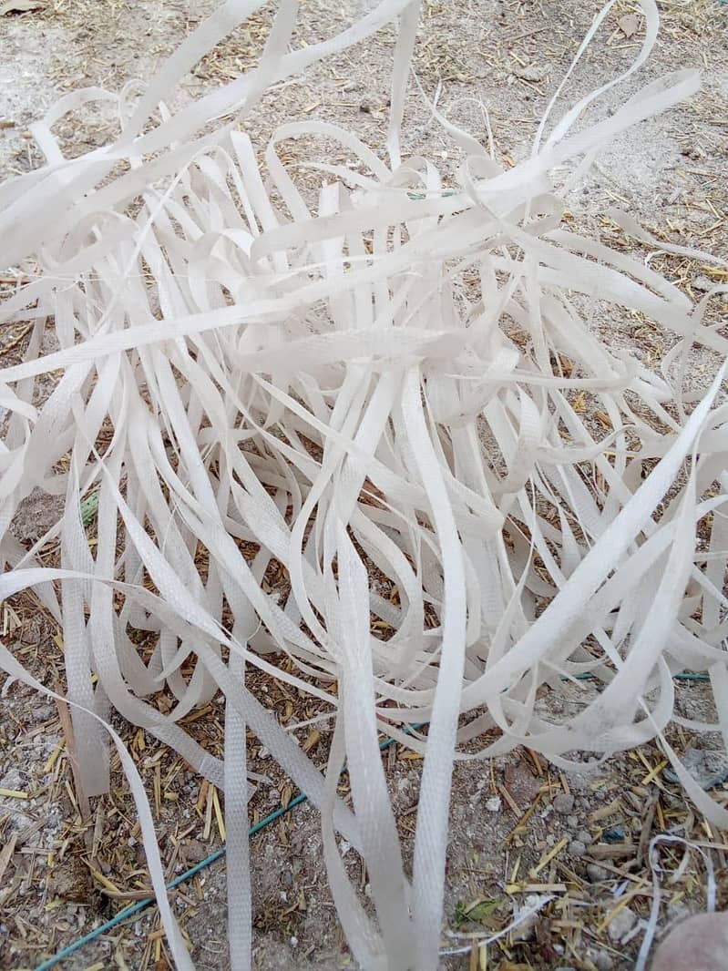 plastic taila 0