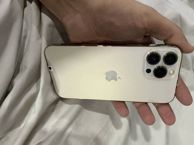 Apple iPhone 13 Pro Max 2