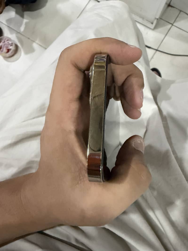 Apple iPhone 13 Pro Max 3