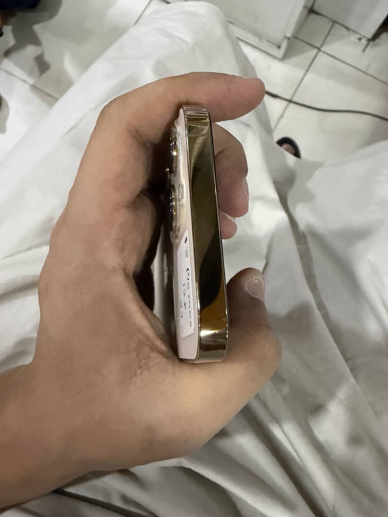 Apple iPhone 13 Pro Max 4