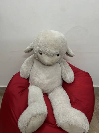 Big sheep for sale