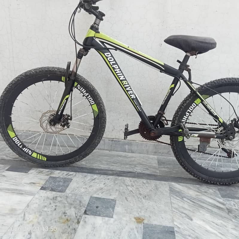 Cycle Dolphin River 0