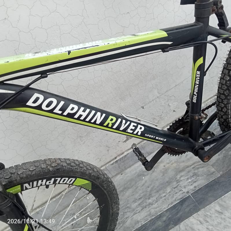 Cycle Dolphin River 1