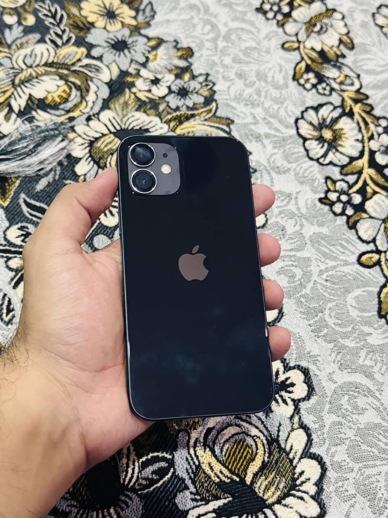 Apple iPhone 12 1