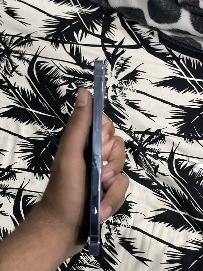 Apple iPhone 13 Pro Max 1
