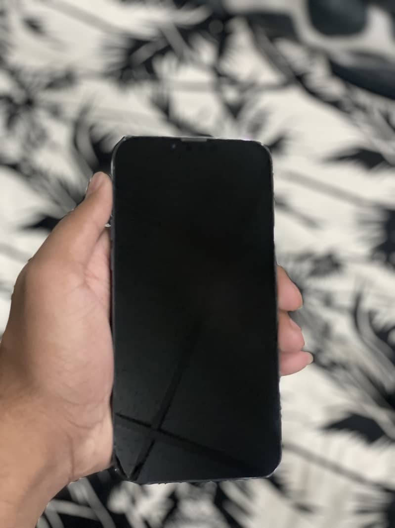 Apple iPhone 13 Pro Max 2