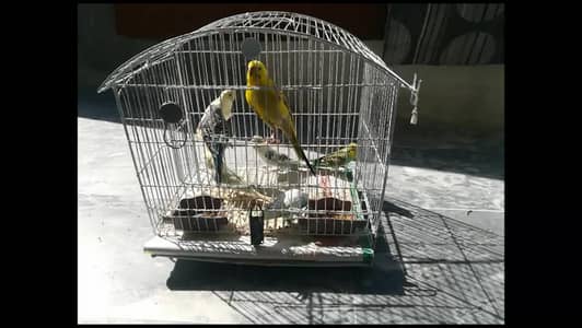 cages