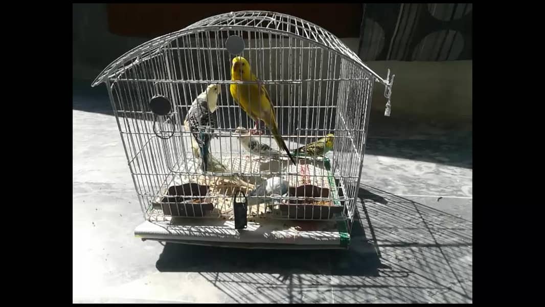 cages 0