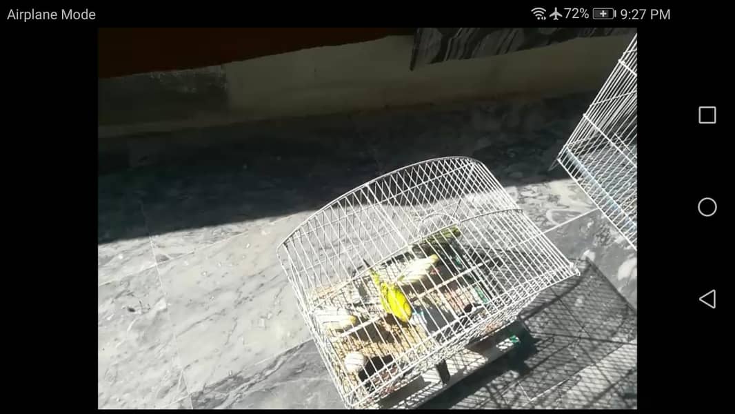 cages 2