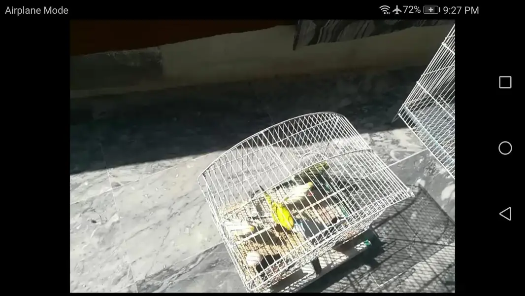 cages — photo 3