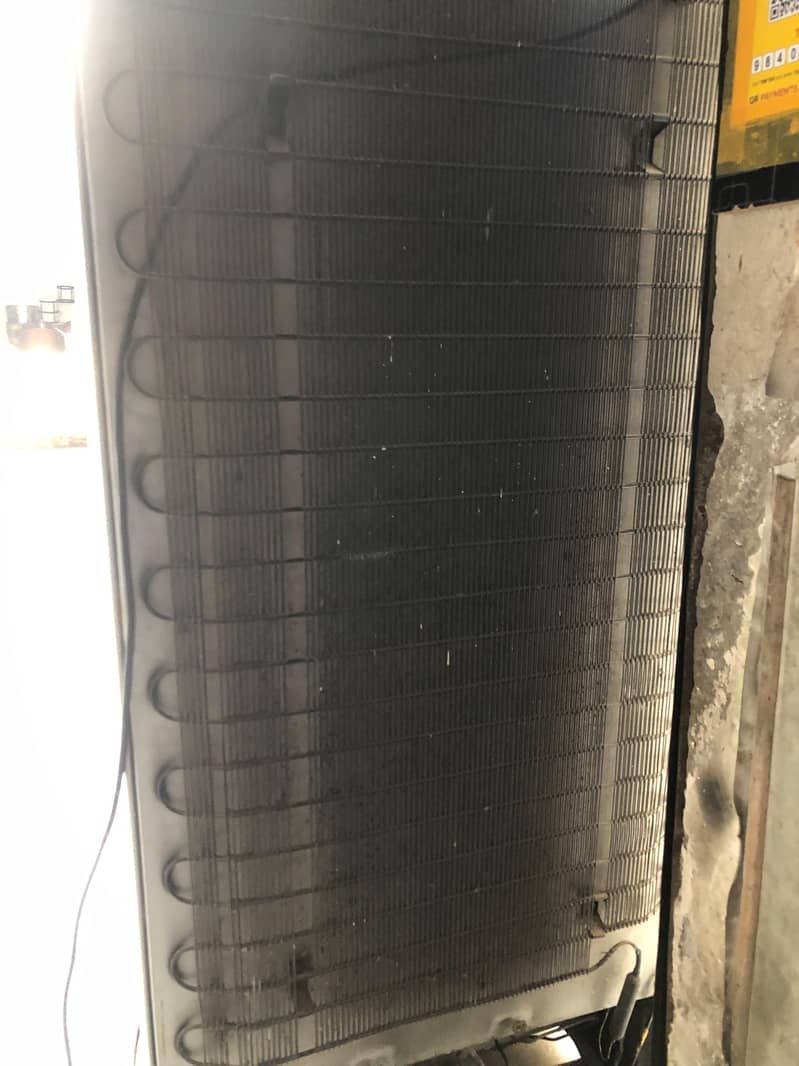 large size Refrigerator 8